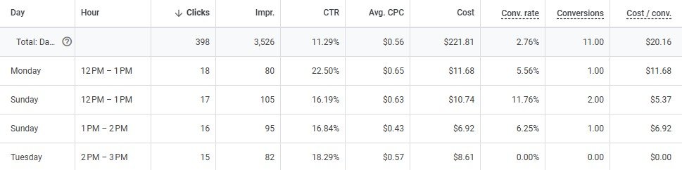 Google Ads Audience Behavior in India